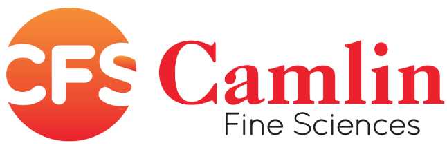 Camlin logo